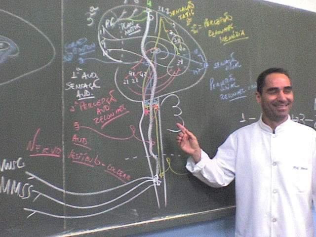 Didática visual